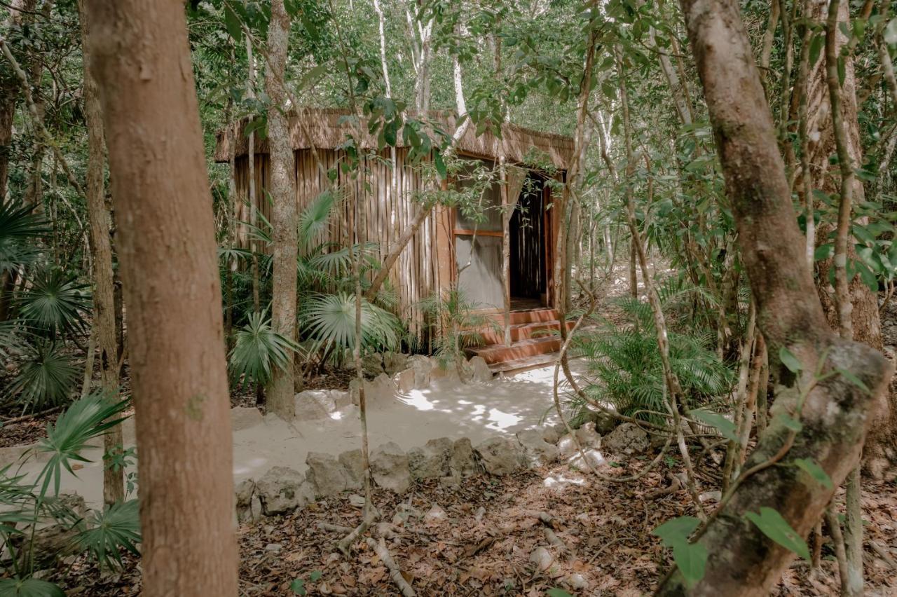 Naum - Secluded Villa With Private Cenote Tulum Exterior photo