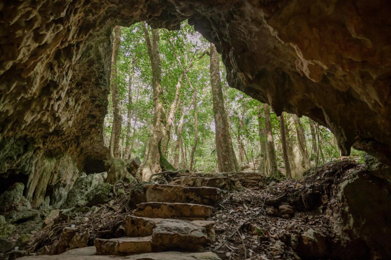 Naum - Secluded Villa With Private Cenote Tulum Exterior photo