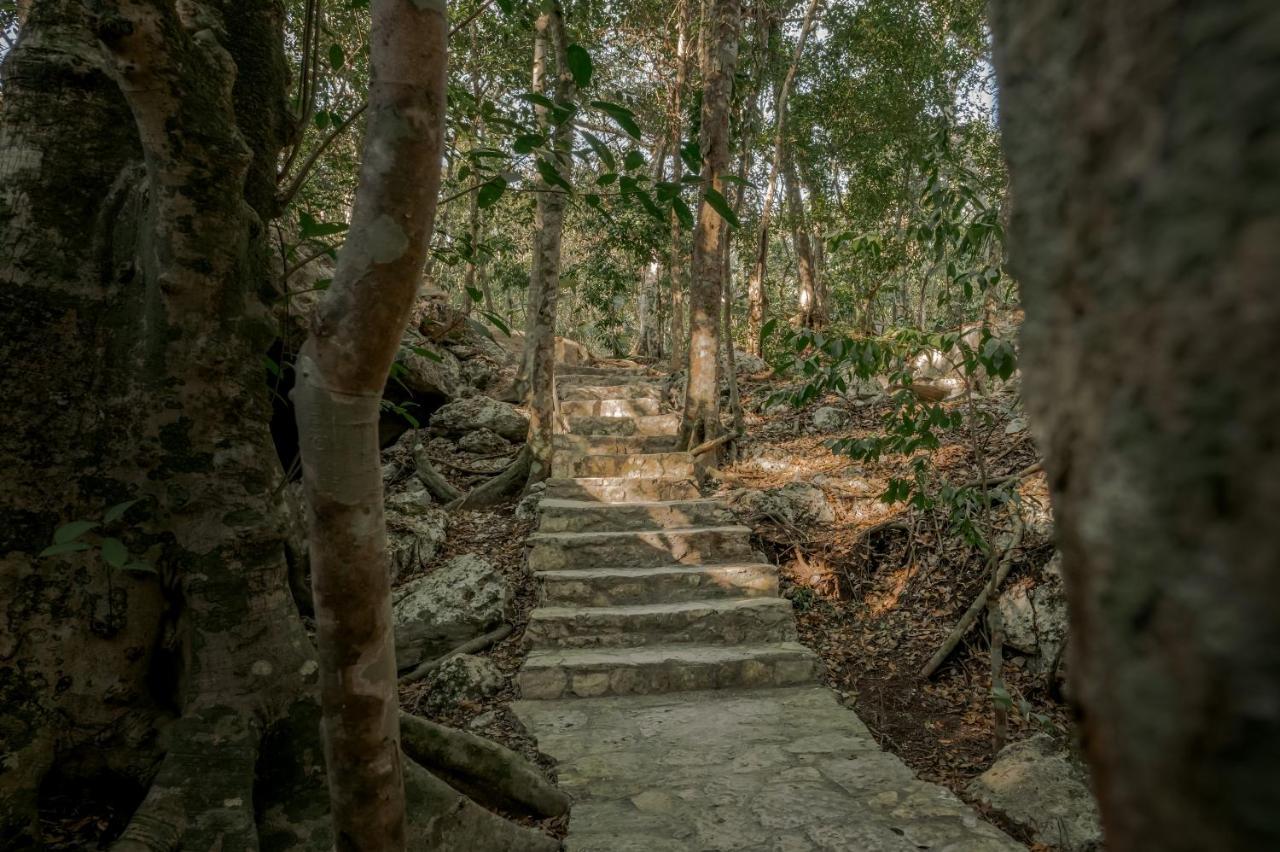 Naum - Secluded Villa With Private Cenote Tulum Exterior photo
