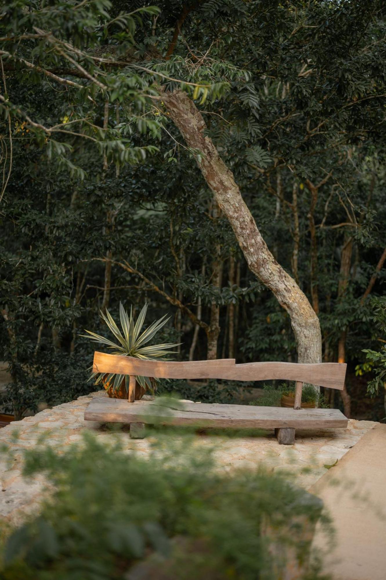 Naum - Secluded Villa With Private Cenote Tulum Exterior photo